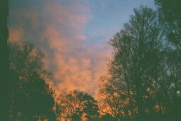 pretty.jpg